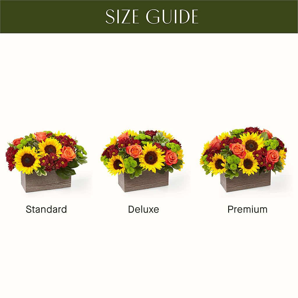 Happy Harvest Garden – Deeshay Custom Design, Goldsboro NC