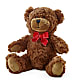 Adorable Plush Bear –  Deeshay Custom Design, Goldsboro NC