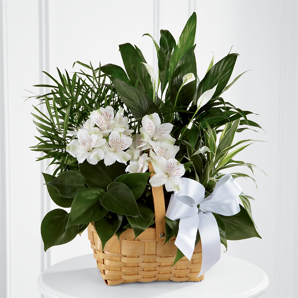Peace & Serenity Dishgarden –  Deeshay Custom Design, Goldsboro NC