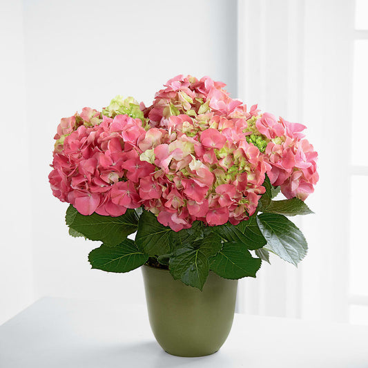 Pink Hydrangea Planter –  Deeshay Custom Design, Goldsboro NC