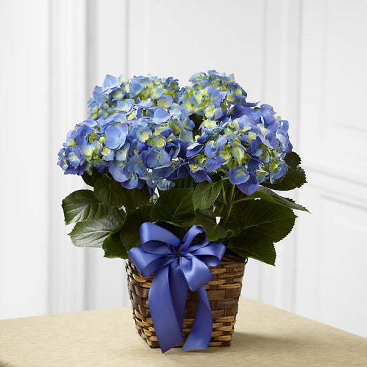 Blue Hydrangea Planter –  Deeshay Custom Design, Goldsboro NC