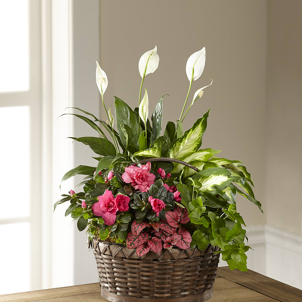 Dream in Pink Dishgarden –  Deeshay Custom Design, Goldsboro NC