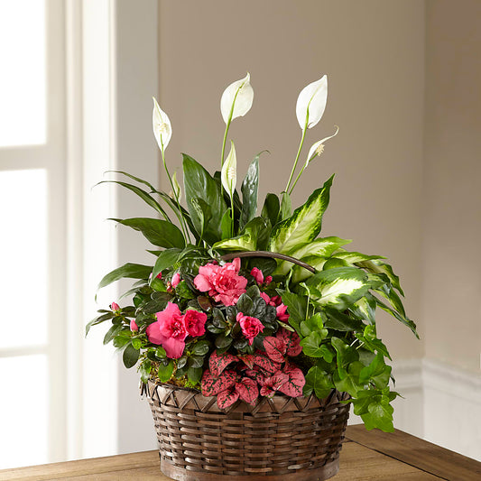 Dream in Pink Dishgarden –  Deeshay Custom Design, Goldsboro NC