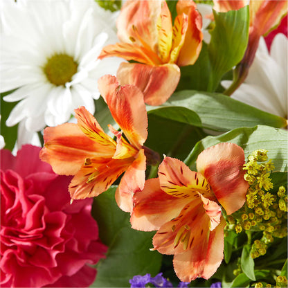 Oopsie Daisy Box Bouquet –  Deeshay Custom Design, Goldsboro NC