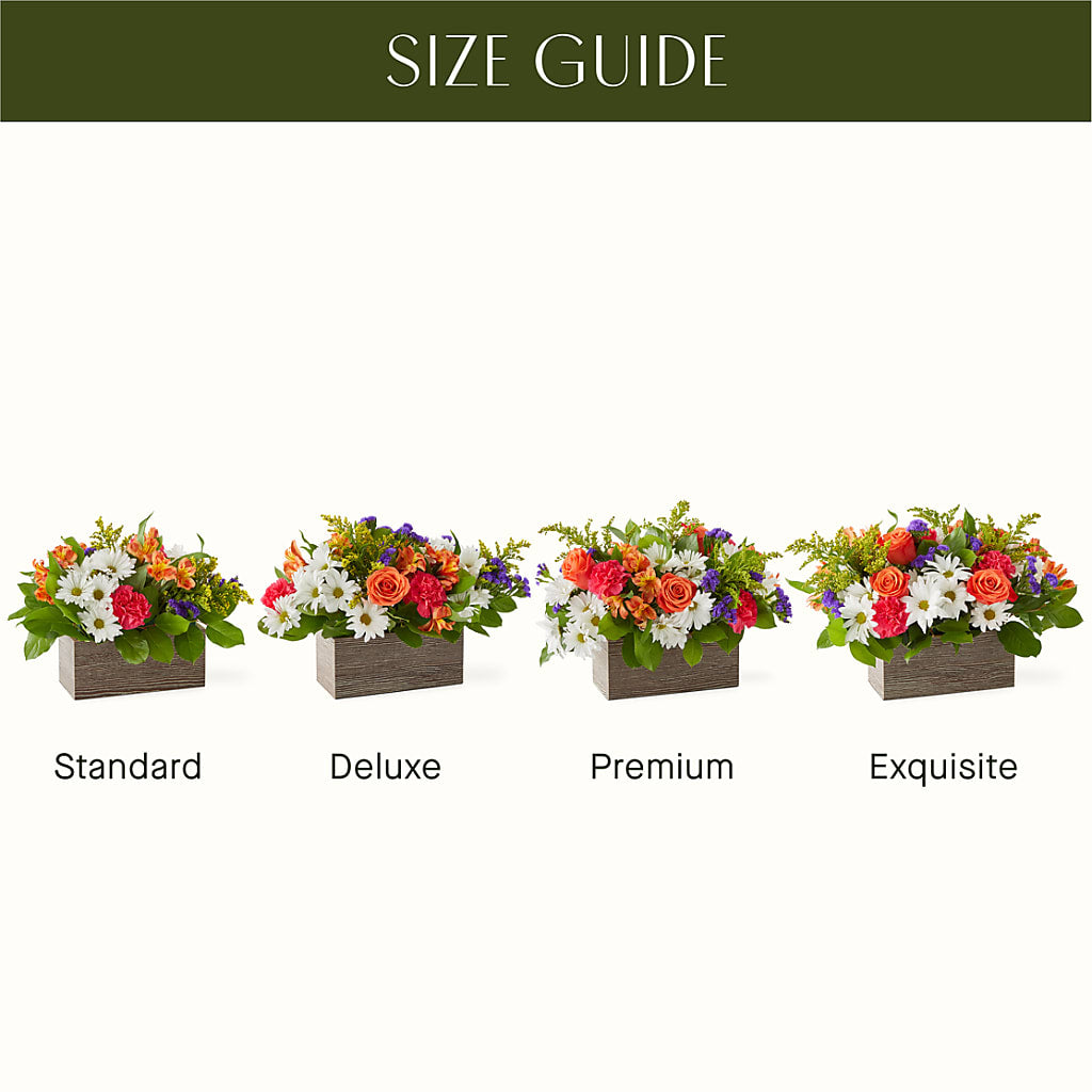 Oopsie Daisy Box Bouquet –  Deeshay Custom Design, Goldsboro NC