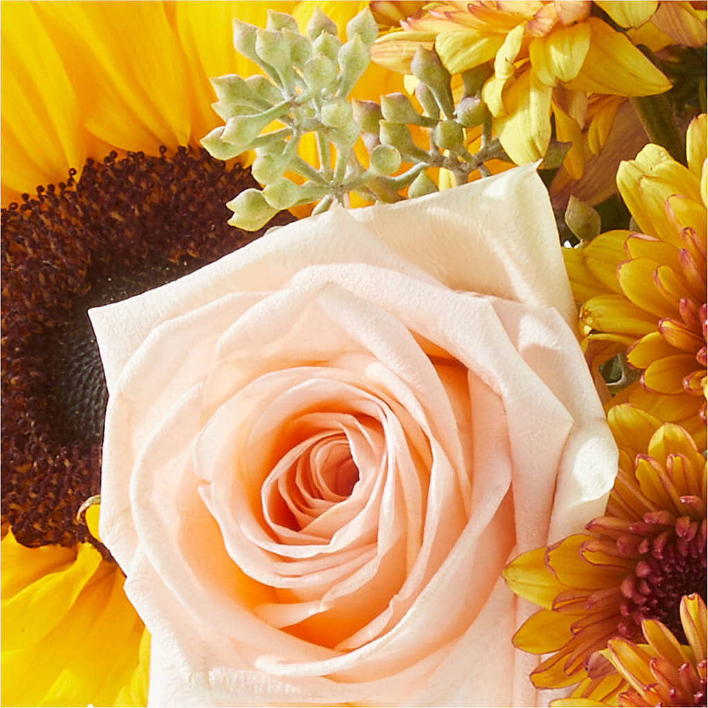 Pumpkin to Talk About Bouquet –  Deeshay Custom Design, Goldsboro NC