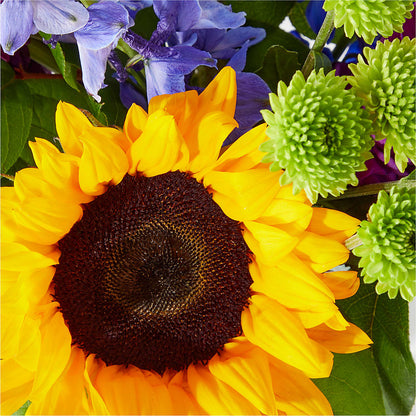 Catching Rays Bouquet –  Deeshay Custom Design, Goldsboro NC