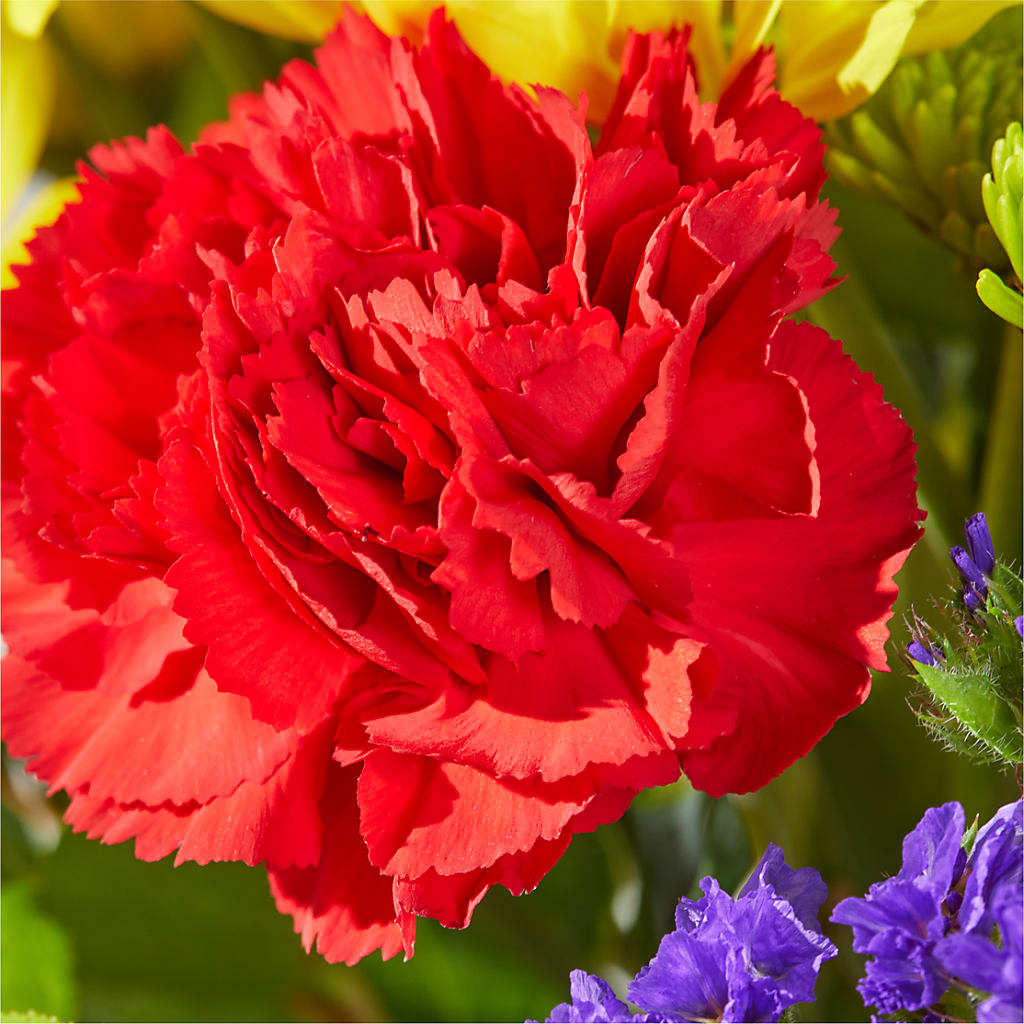 Brighter Days Bouquet –  Deeshay Custom Design, Goldsboro NC