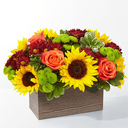 Happy Harvest Garden –  Deeshay Custom Design, Goldsboro NC