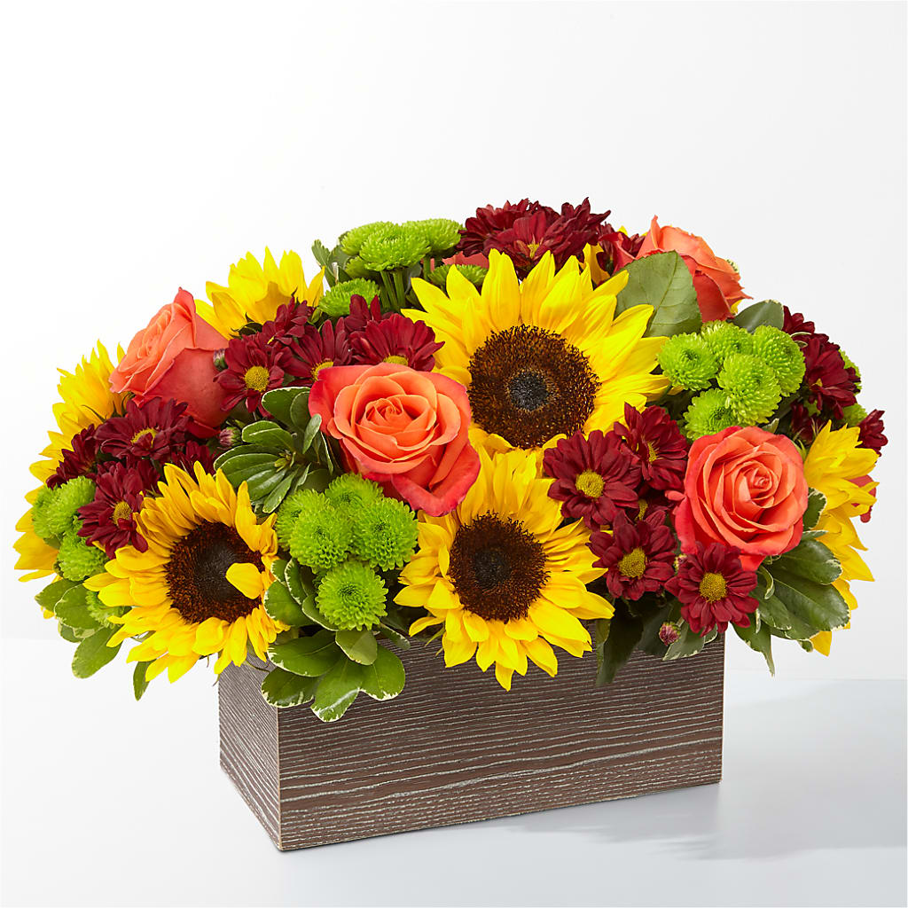 Happy Harvest Garden –  Deeshay Custom Design, Goldsboro NC