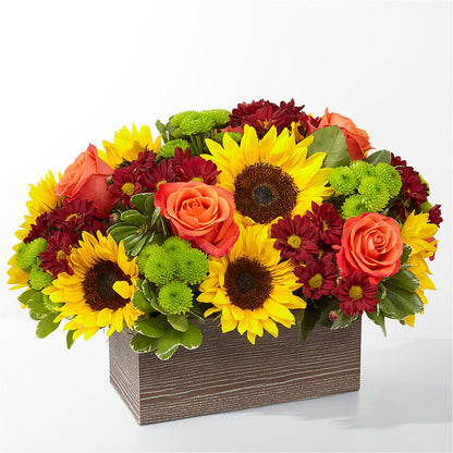 Happy Harvest Garden –  Deeshay Custom Design, Goldsboro NC