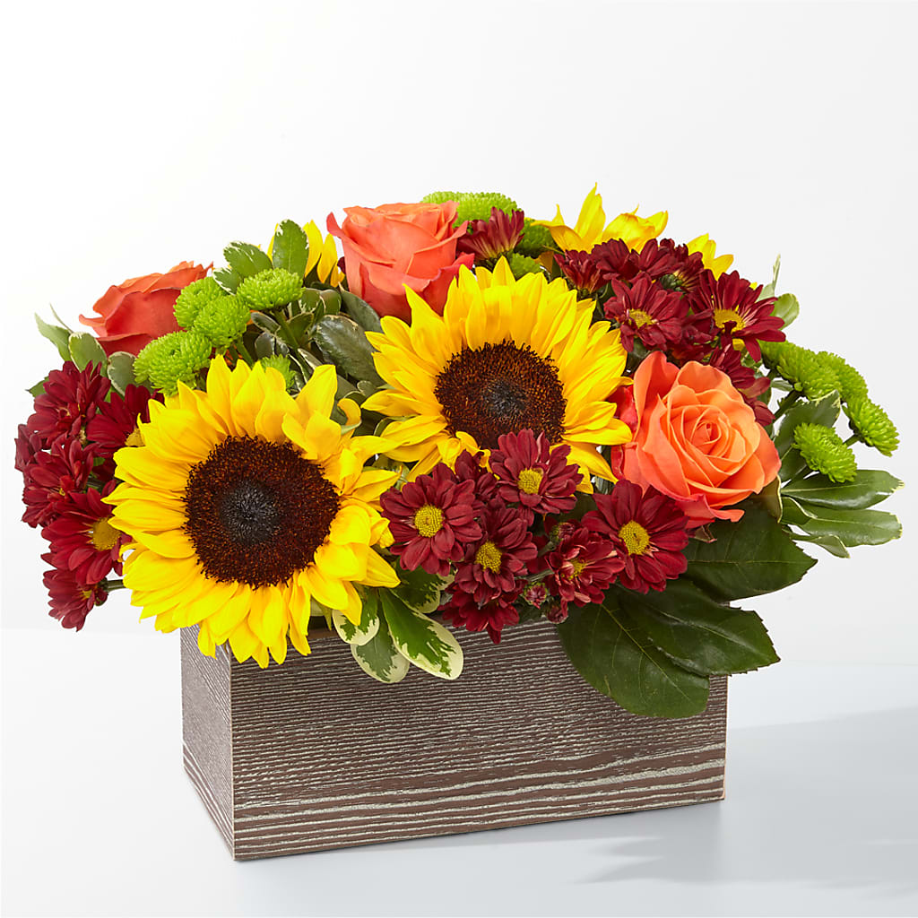 Happy Harvest Garden –  Deeshay Custom Design, Goldsboro NC