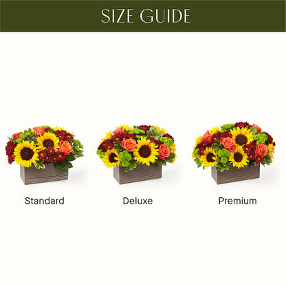 Happy Harvest Garden –  Deeshay Custom Design, Goldsboro NC