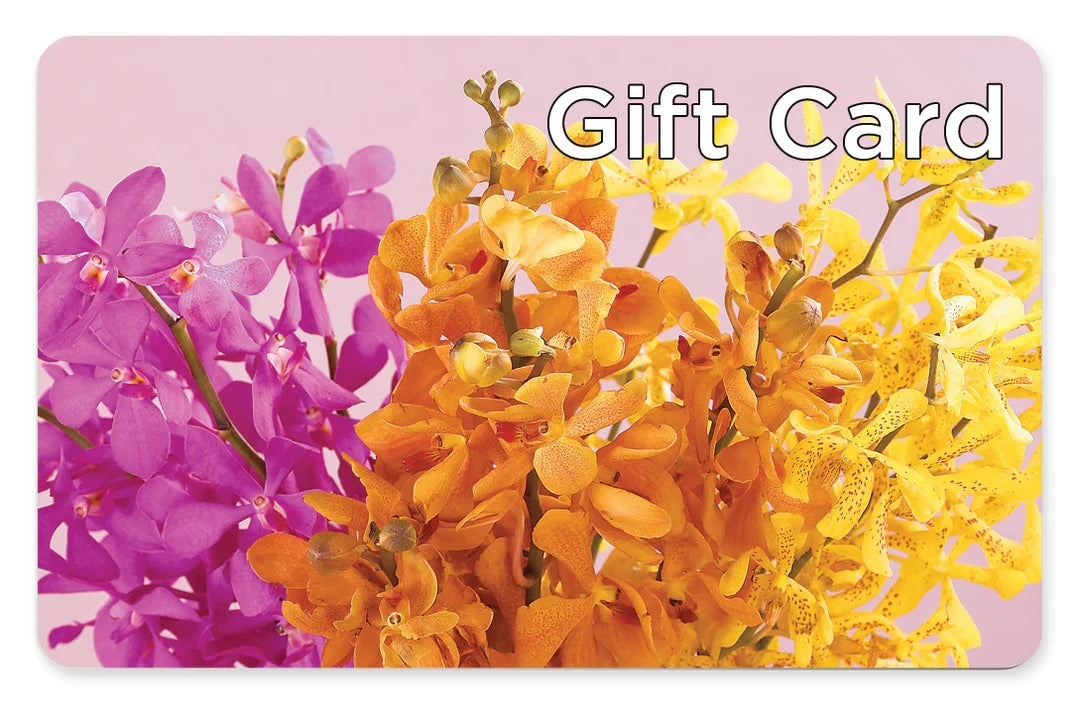 Gift Card –  Deeshay Custom Design, Goldsboro NC