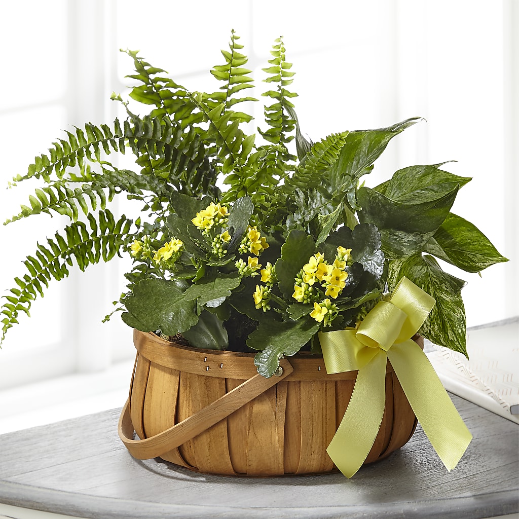 Always Dear Dishgarden –  Deeshay Custom Design, Goldsboro NC