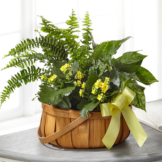 Always Dear Dishgarden –  Deeshay Custom Design, Goldsboro NC