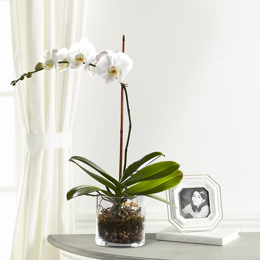 White Orchid Planter –  Deeshay Custom Design, Goldsboro NC