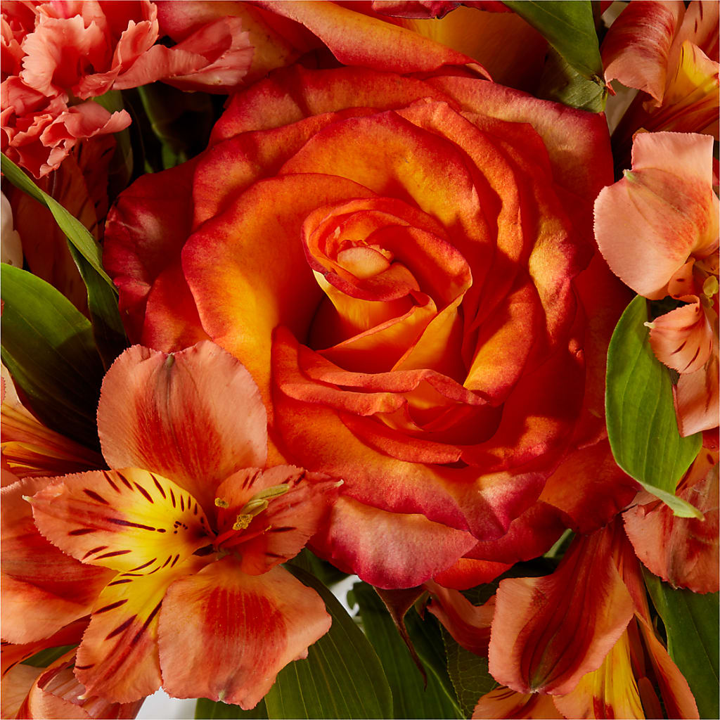 Apricot Glow Bouquet –  Deeshay Custom Design, Goldsboro NC