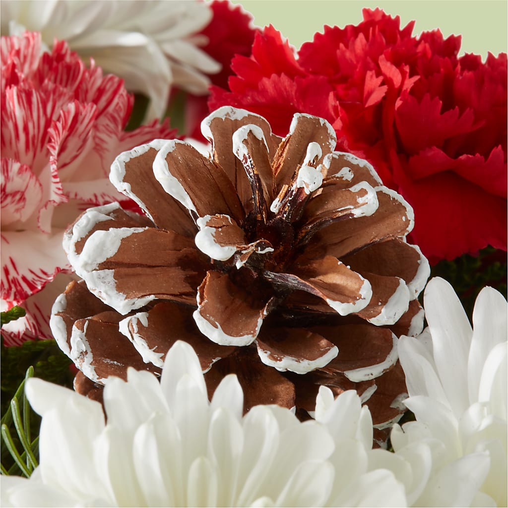 Candy Cane Lane Bouquet –  Deeshay Custom Design, Goldsboro NC