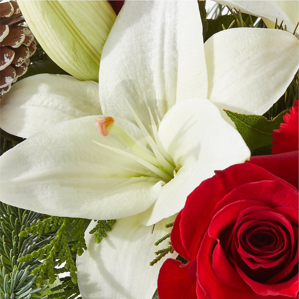 Oh So Jolly Bouquet –  Deeshay Custom Design, Goldsboro NC