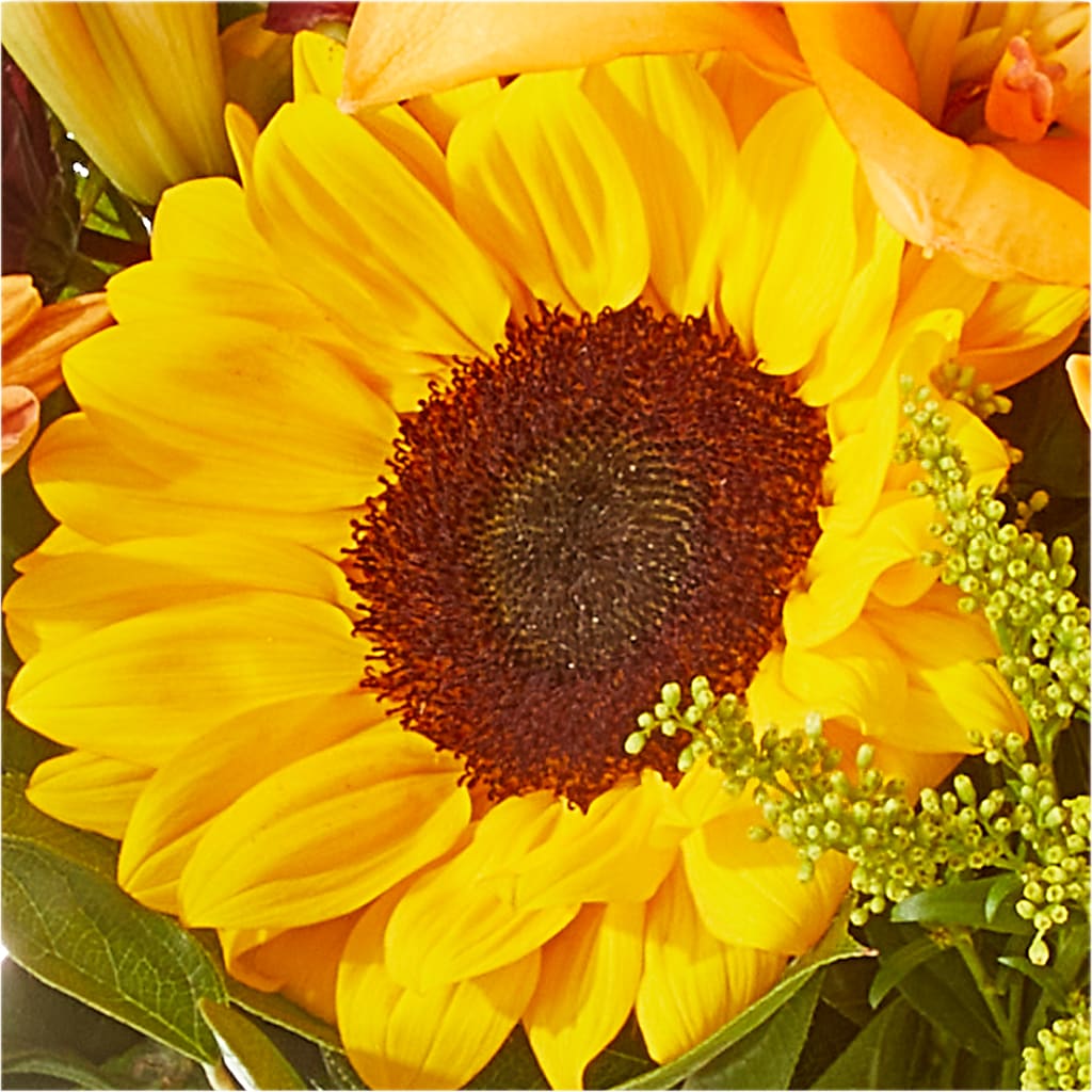 Seasons Change Bouquet –  Deeshay Custom Design, Goldsboro NC