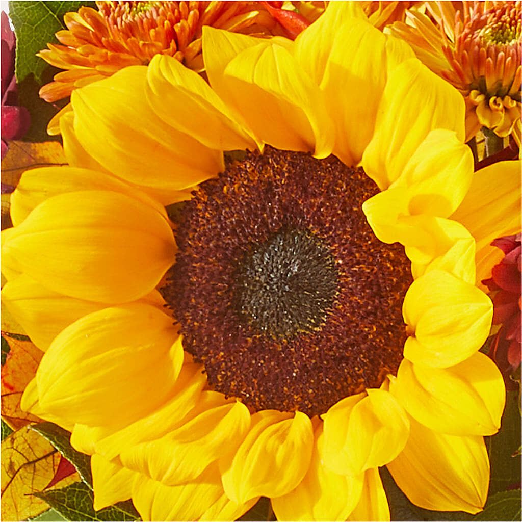 Sunny Side Bouquet –  Deeshay Custom Design, Goldsboro NC