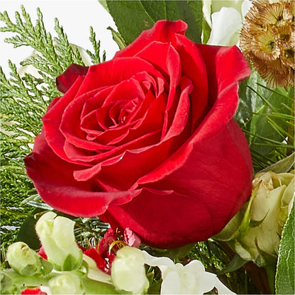 Deck the Halls Bouquet –  Deeshay Custom Design, Goldsboro NC
