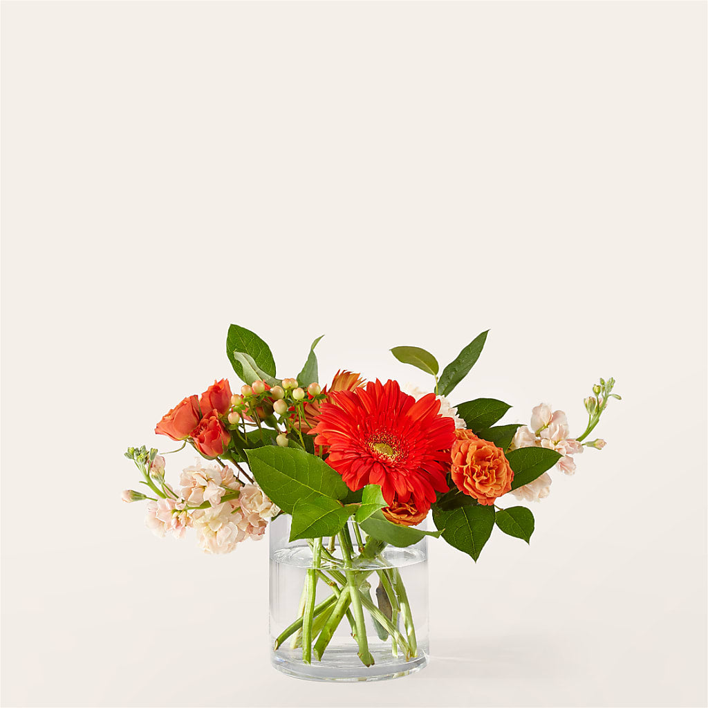 Paloma Please Bouquet –  Deeshay Custom Design, Goldsboro NC