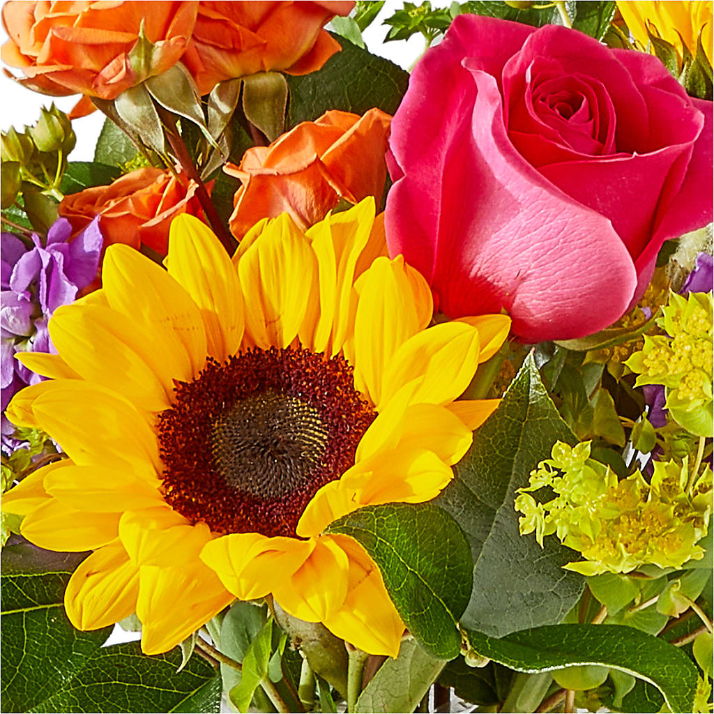 Vibrant Greetings Bouquet –  Deeshay Custom Design, Goldsboro NC