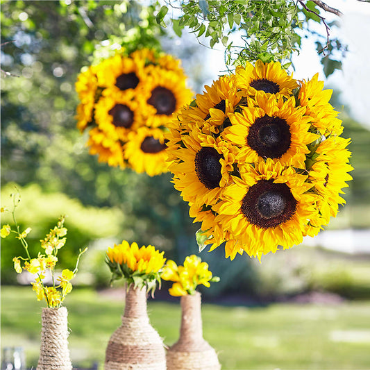 Sublime Garden Hanging Arrangement –  Deeshay Custom Design, Goldsboro NC