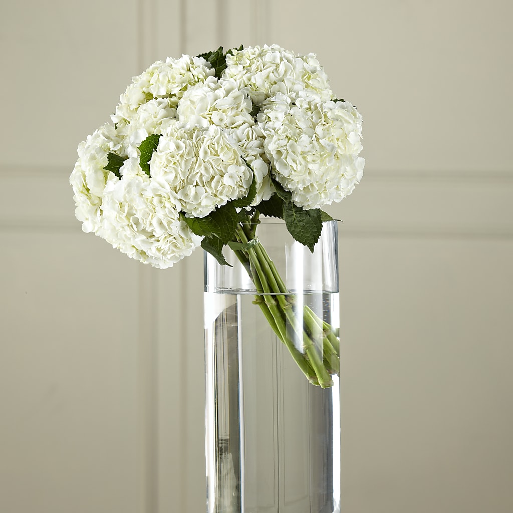 White Hydrangea Hand-Tied Bouquet –  Deeshay Custom Design, Goldsboro NC