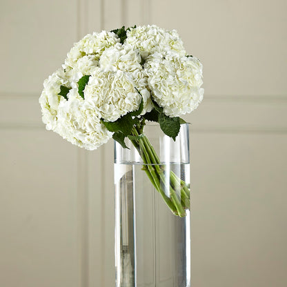 White Hydrangea Hand-Tied Bouquet –  Deeshay Custom Design, Goldsboro NC