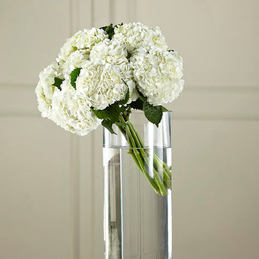 White Hydrangea Hand-Tied Bouquet –  Deeshay Custom Design, Goldsboro NC