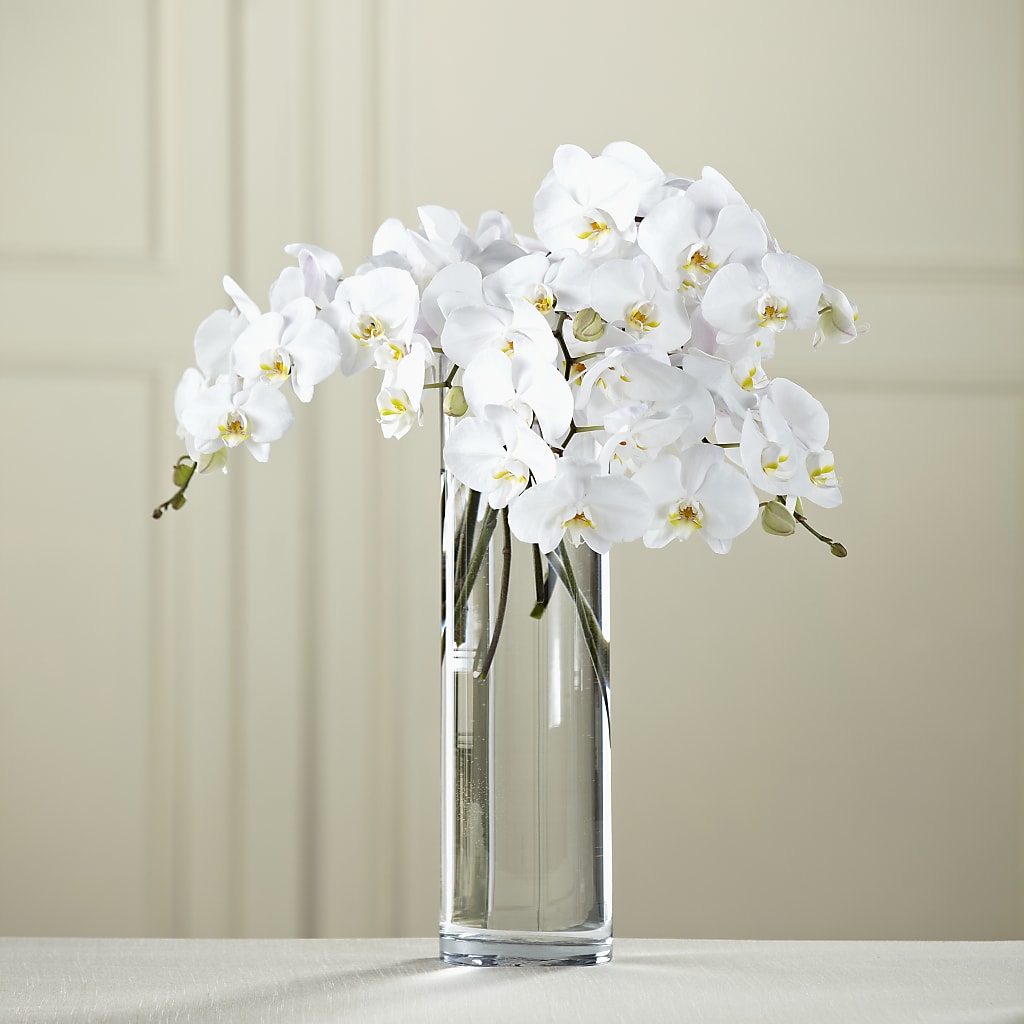 White Phalaenopsis Bouquet –  Deeshay Custom Design, Goldsboro NC