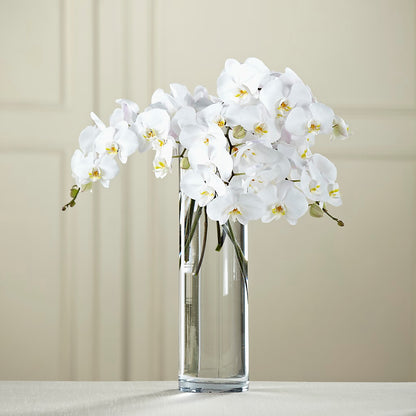 White Phalaenopsis Bouquet –  Deeshay Custom Design, Goldsboro NC